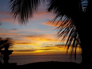 palm sunrise1