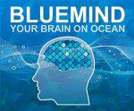 bluemind