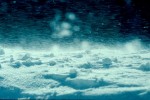 snow transport II