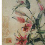 lilies