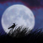supermoon1