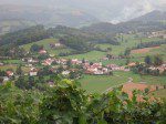 Brana vineyards to the valley