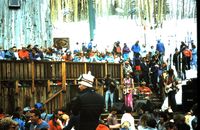 4-4-2009_002 4-4-2009_002