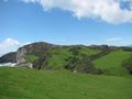 IMG_1769