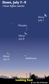 Webvic10_July08mo_341px