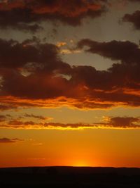 Lionsunset2