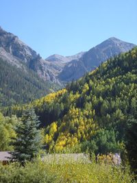 Bear creek Bear creek