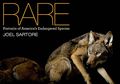 Rare_500px