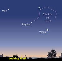 Webvic10_July01_short