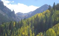 Bear creek fall Bear creek fall