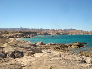 IguanaTrail IguanaTrail