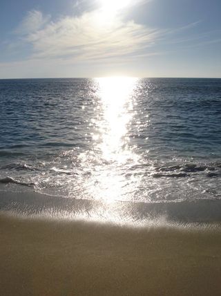 Sparkling sea