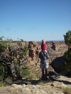 The View from Tower Ruin