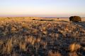 Ranchland Ranchland