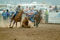 Steer wrestlin' Steer wrestlin'