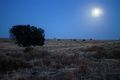 Moonrise Moonrise