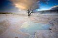 Shive_mt_yellowstonenp_1008_0816