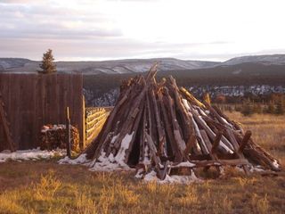 Cedar woodpile