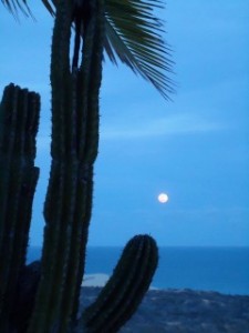 moonriseBlu1