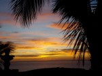 palm sunrise1