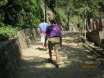 Hiking up