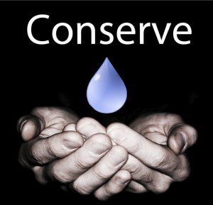 PastedGraphic-1 copy