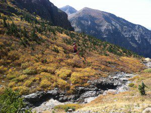 telluride hiking tram swing