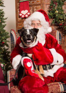 Pumba (2) Santa hopes to fulfill Pumba's wish for a forever home
