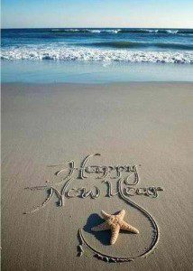301719_10151203696542759_955633183_n Happy New Year!, American Littoral Society
