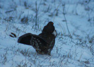 off-season, telluride