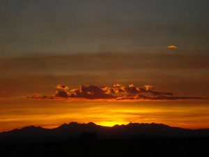 sunsered1