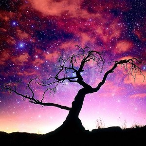milky way tree pink