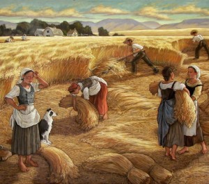 In-the-Heat-of-Harvest-690x611