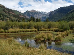 Telluride's Valley Floor. A river runs through it.