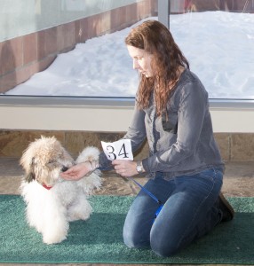 Lynn Tradig with BEAR, the purebred winner for a slot in "Rover."
