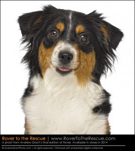 Molly's mug shot for "Rover"