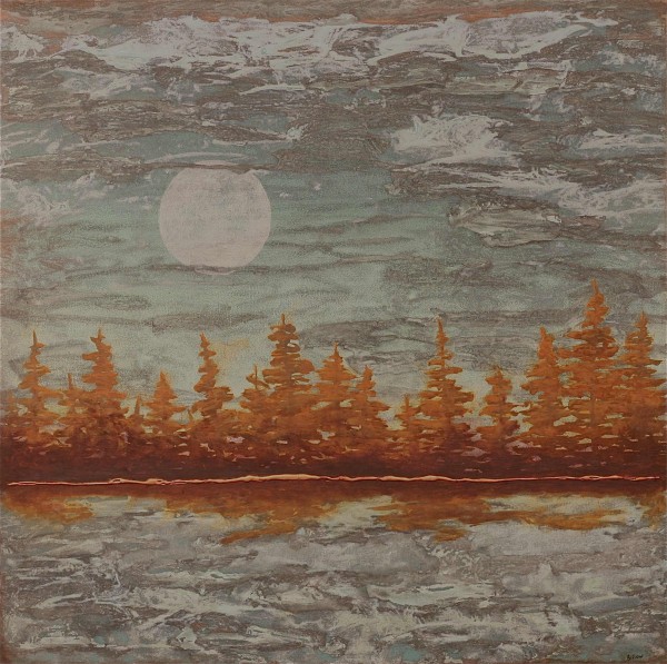 Moonlight through the pines