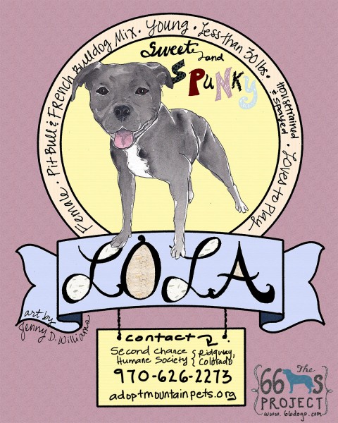 Image by Jenny Williams for Second Chance