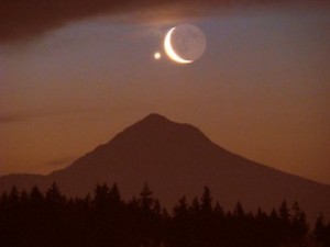 Marc-Provencher1_strip