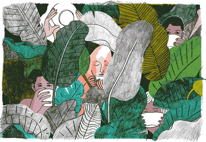 Ayahuasca: A Strong Cup of Tea