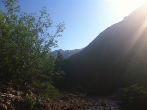 Early Morning Light in June