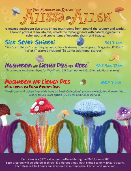 Alissas adventures in pigment land-01