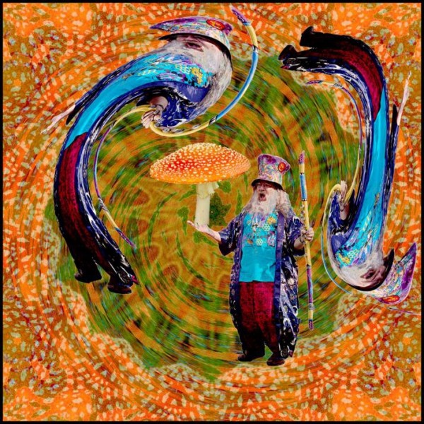 ArtShroomBendingAaronGomeier12