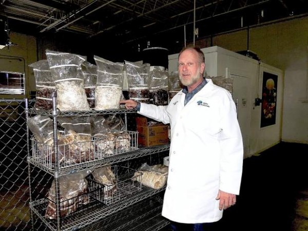 Dr. John Holliday of Aloha Medicinals, guest speaker at 33rd annual Telluride Mushroom Festival