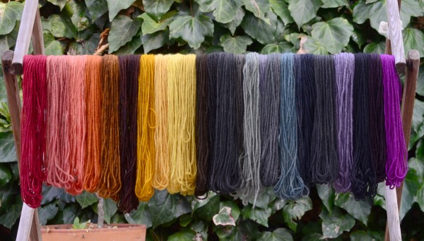 A dye rainbow created by Alissa Allen.