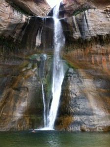 Swimming in Calf Creek Falls