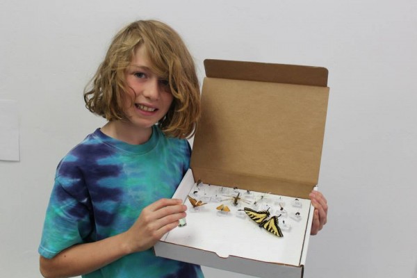 Wiley Holbrooke and his bug collection