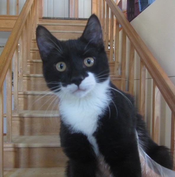 ???????????????????????????????