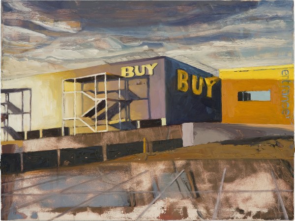 Sharon Feder, Buy study