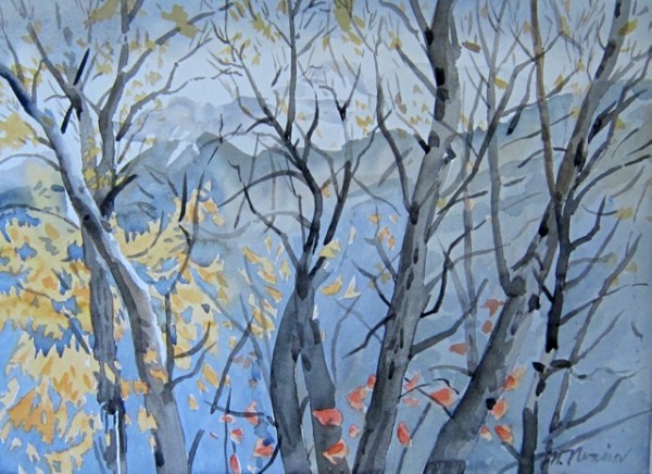 Autumn Out My Window